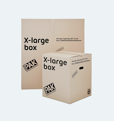Extra Large (XL)