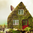 Eco friendly home improvements
