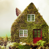 Eco friendly home improvements