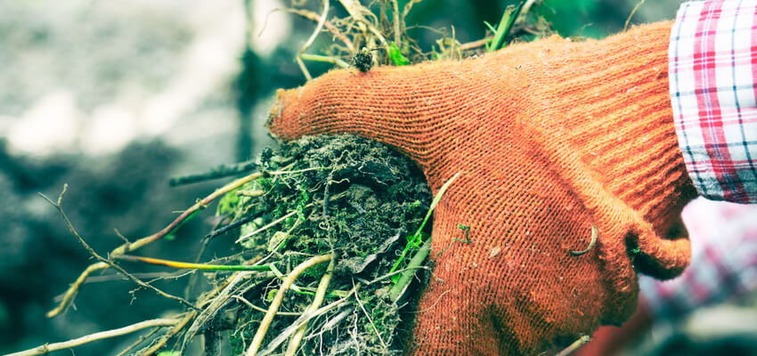 Image of person deweeding ing the garden.